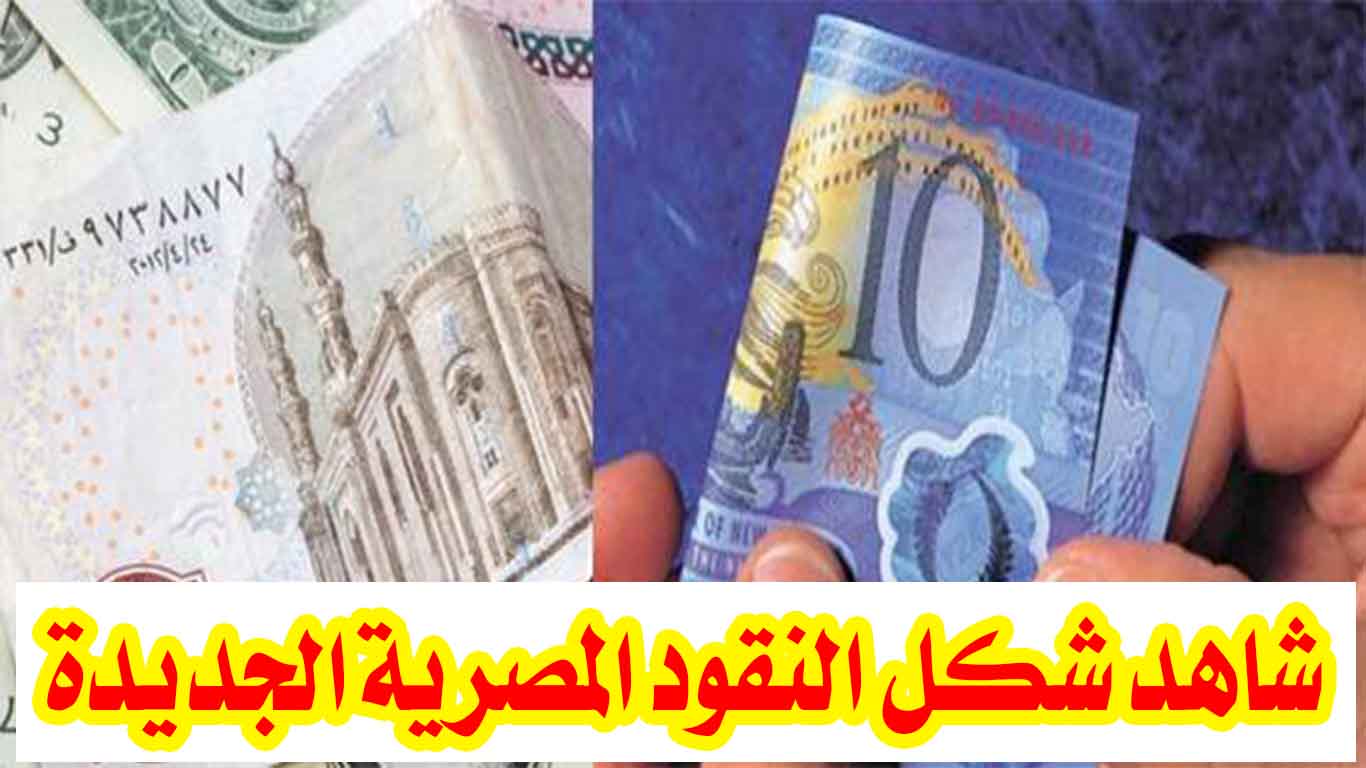 العملة البلاستيكية المصرية الجديدة وشكل 10 العشرة جنيه الجديدة