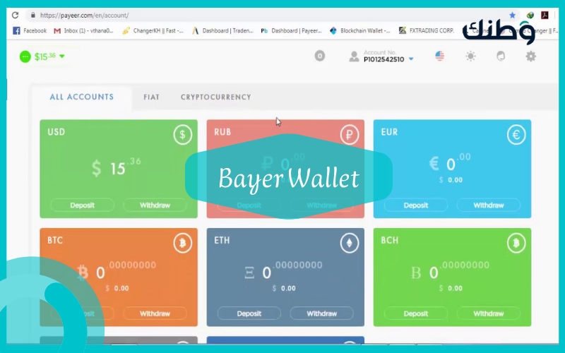 خطوات فتح محفظة بايير | Bayer Wallet